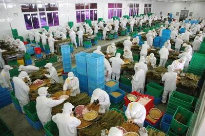 探訪粽子大王五芳齋 一天能包180萬(wàn)只粽子的傳奇